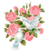 розовые светлые  
