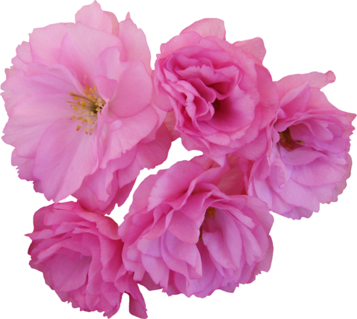 0_9c88c_c688db3f_XL (700x625, 465Kb)